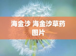 海金沙 海金沙草药图片