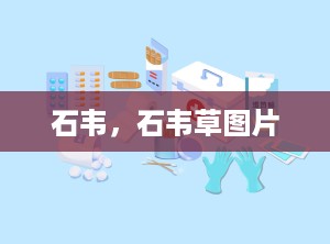 石韦，石韦草图片