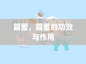 篇蓄，篇蓄的功效与作用