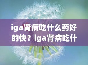 iga肾病吃什么药好的快？iga肾病吃什么菜比较好