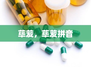 荜茇，荜茇拼音