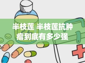 半枝莲 半枝莲抗肿瘤到底有多少强