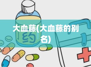 大血藤(大血藤的别名)