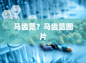 马齿苋？马齿苋图片