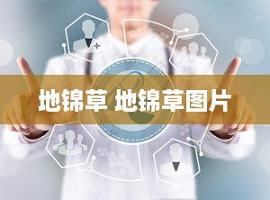 地锦草 地锦草图片