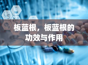 板蓝根，板蓝根的功效与作用
