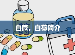 白薇，白薇简介