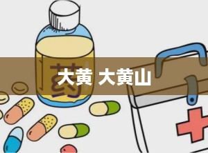 大黄 大黄山