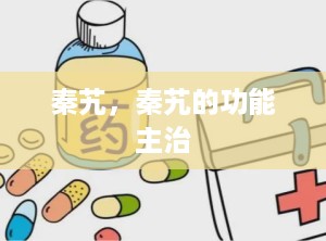 秦艽，秦艽的功能主治