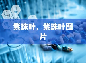 紫珠叶，紫珠叶图片