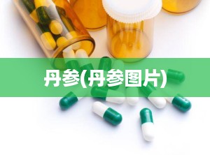 丹参(丹参图片)