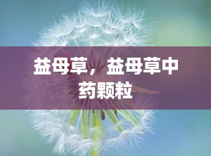 益母草，益母草中药颗粒