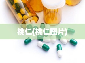 桃仁(桃仁图片)