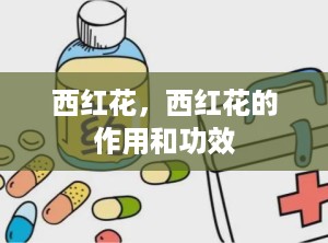 西红花，西红花的作用和功效