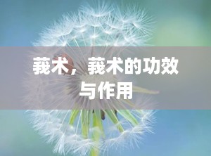 莪术，莪术的功效与作用