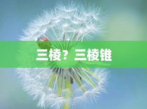 三棱？三棱锥