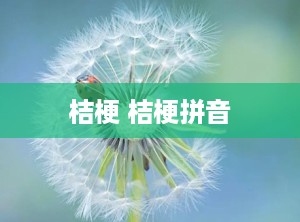 桔梗 桔梗拼音