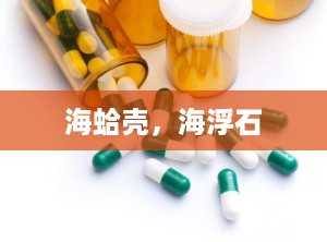海蛤壳，海浮石