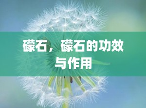礞石，礞石的功效与作用