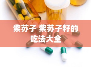 紫苏子 紫苏子籽的吃法大全