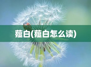 薤白(薤白怎么读)