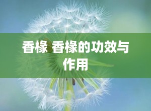 香椽 香椽的功效与作用