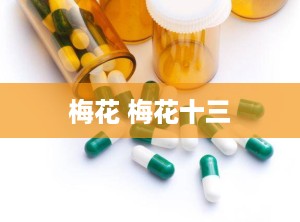 梅花 梅花十三