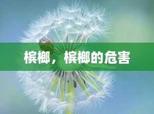 槟榔，槟榔的危害