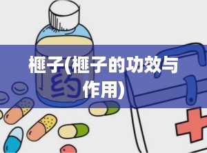 榧子(榧子的功效与作用)