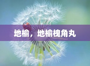 地榆，地榆槐角丸