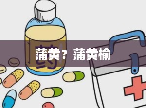 蒲黄？蒲黄榆