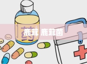 鹿茸 鹿茸菌