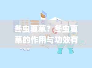 冬虫夏草？冬虫夏草的作用与功效有哪些