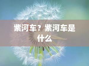 紫河车？紫河车是什么
