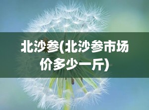 北沙参(北沙参市场价多少一斤)
