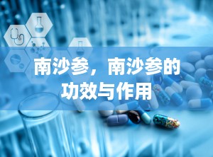 南沙参，南沙参的功效与作用