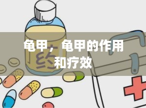 龟甲，龟甲的作用和疗效