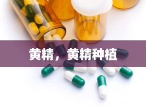 黄精，黄精种植