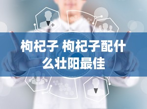 枸杞子 枸杞子配什么壮阳最佳