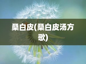 桑白皮(桑白皮汤方歌)