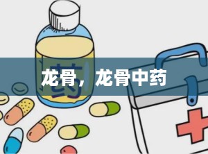 龙骨，龙骨中药