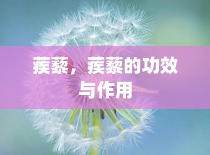 蒺藜，蒺藜的功效与作用