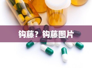 钩藤？钩藤图片