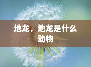 地龙，地龙是什么动物