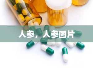 人参，人参图片
