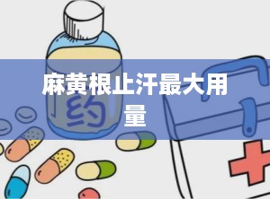 麻黄根止汗最大用量