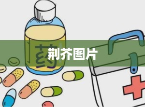 荆芥图片