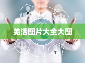 羌活图片大全大图