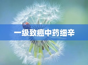 一级致癌中药细辛