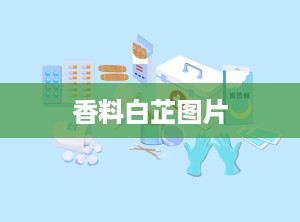 香料白芷图片